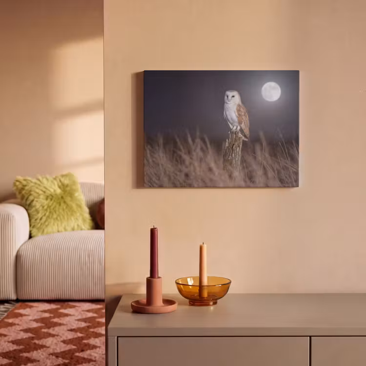 Akoestisch schilderij - Kerkuil - Maan - Nacht — 2