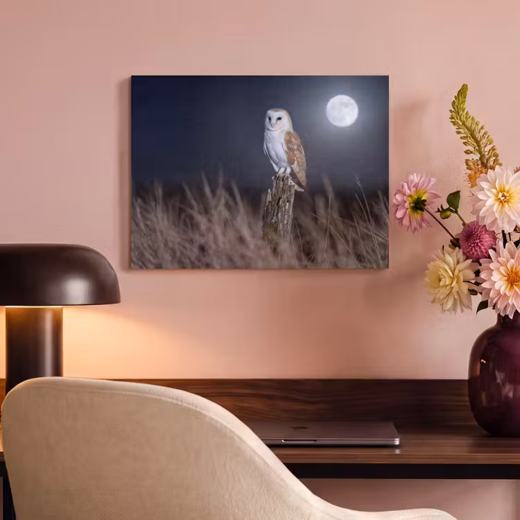Akoestisch schilderij - Kerkuil - Maan - Nacht — 4