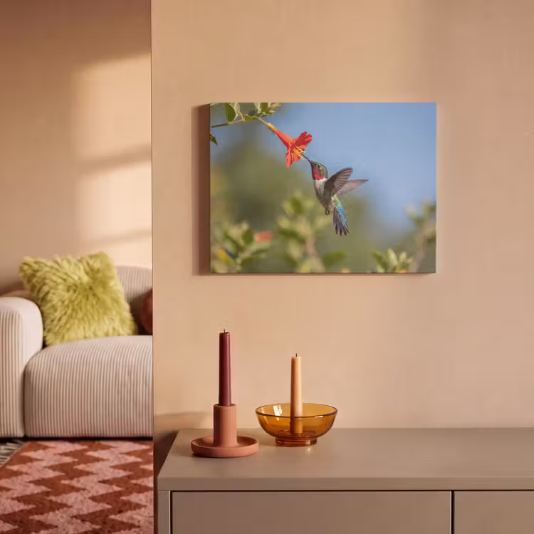 Akoestisch schilderij - Kolibrie - Bloem - Natuur - Groen — 2
