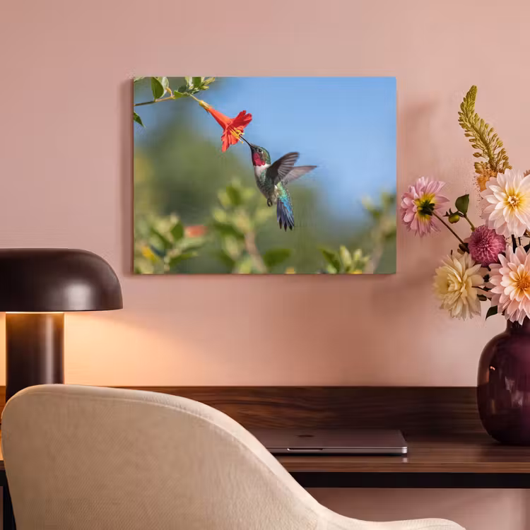 Akoestisch schilderij - Kolibrie - Bloem - Natuur - Groen — 4