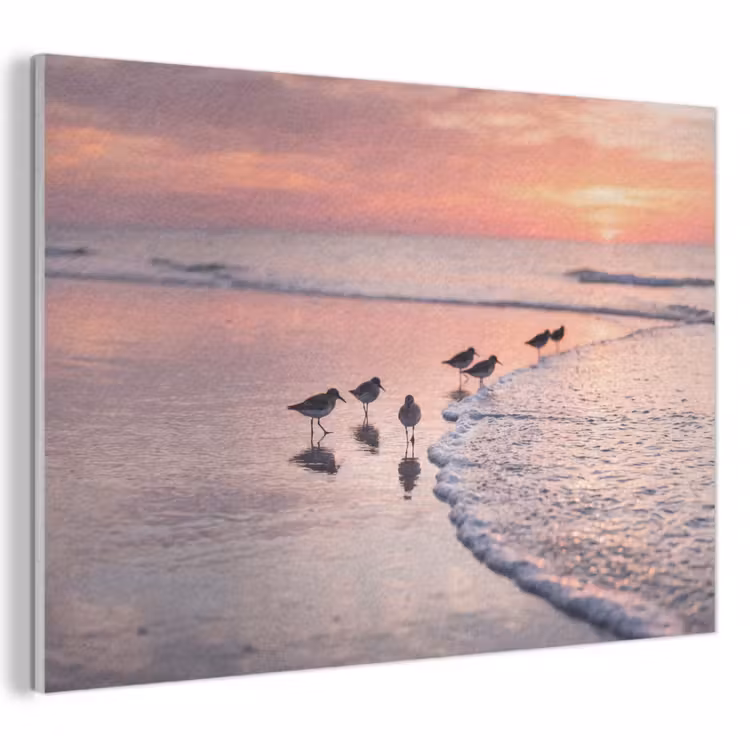 Akoestisch schilderij - Meeuwen - Strand - Zee - Roze — 1