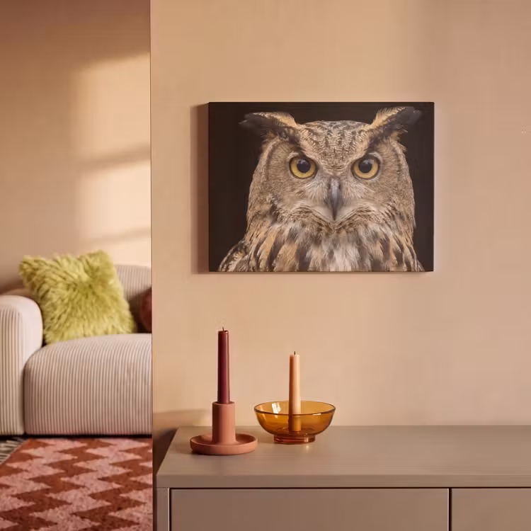 Akoestisch schilderij - Oehoe - Uil - Portret - Bruin — 2