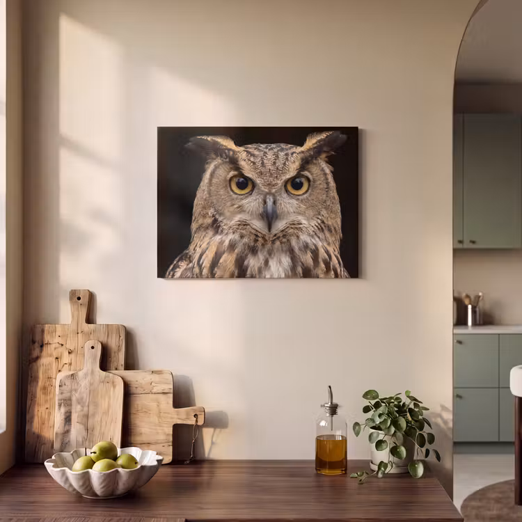 Akoestisch schilderij - Oehoe - Uil - Portret - Bruin — 3
