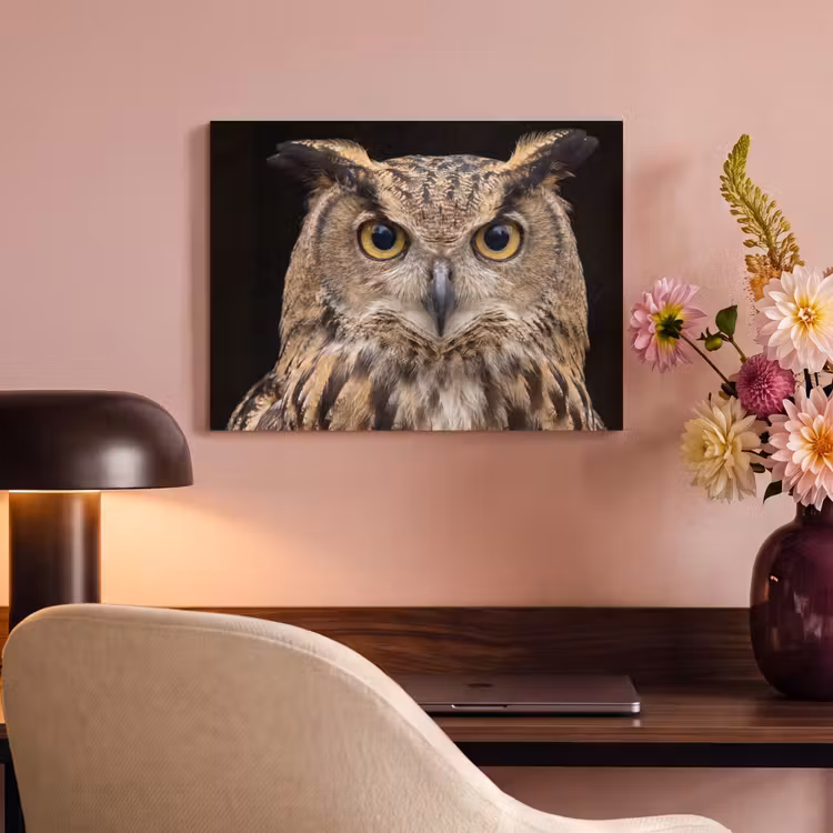 Akoestisch schilderij - Oehoe - Uil - Portret - Bruin — 4