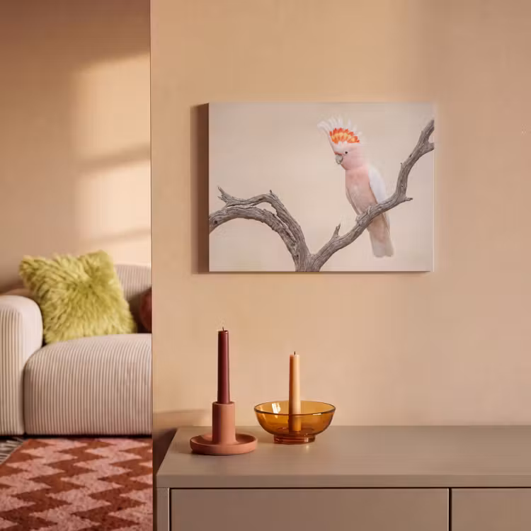 Akoestisch schilderij - Papagaai - Tak - Roze — 2