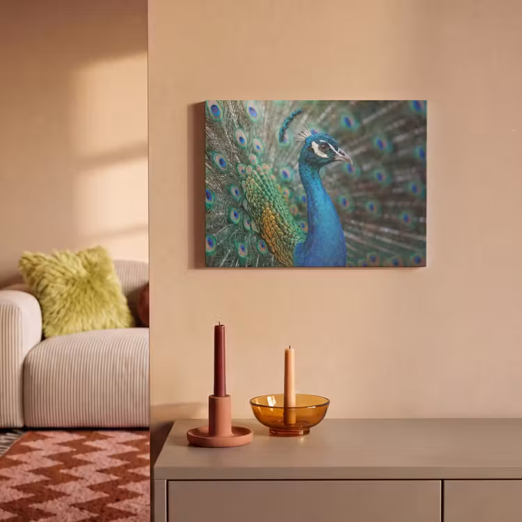 Akoestisch schilderij - Pauw - Veren - Blauw — 2