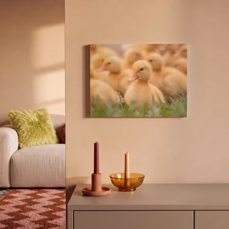 Akoestisch schilderij - Pijltje - Eend - Natuur - Geel — 2
