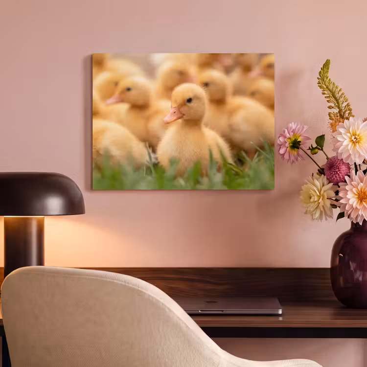 Akoestisch schilderij - Pijltje - Eend - Natuur - Geel — 4