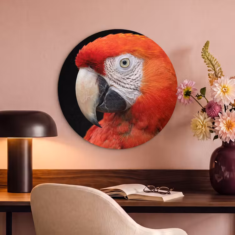 Akoestisch schilderij rond - Ara - Portret - Rood — 2