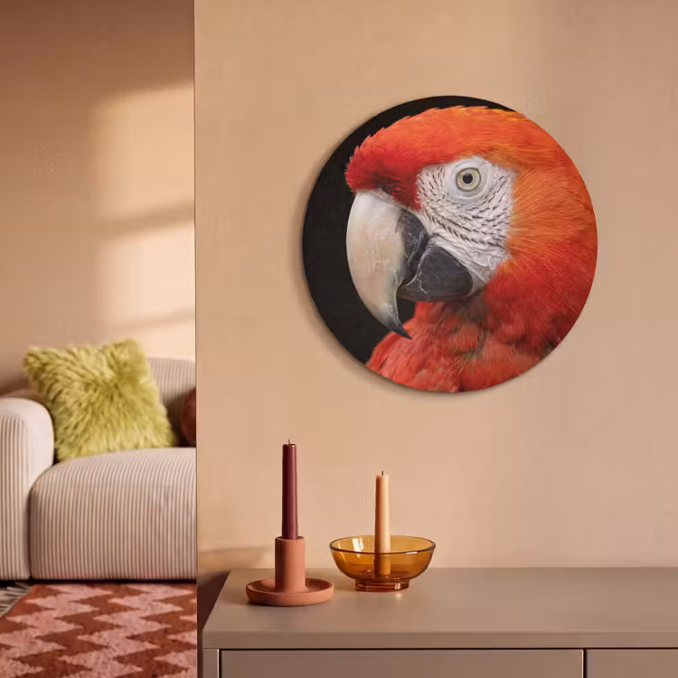 Akoestisch schilderij rond - Ara - Portret - Rood — 3