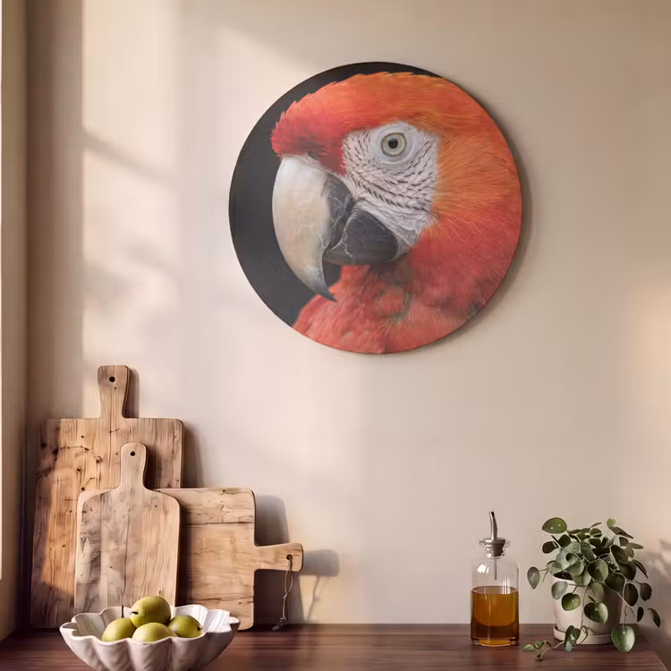 Akoestisch schilderij rond - Ara - Portret - Rood — 4
