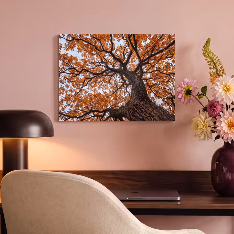 Akoestisch schilderij - Boom - Bladerdak - Herfst - Oranje - Sfeervol — 4