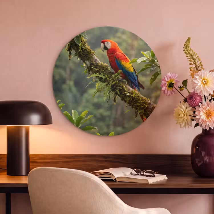 Akoestisch schilderij rond - Ara - Jungle - Rood — 2