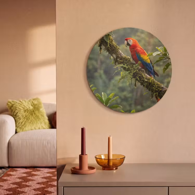 Akoestisch schilderij rond - Ara - Jungle - Rood — 3