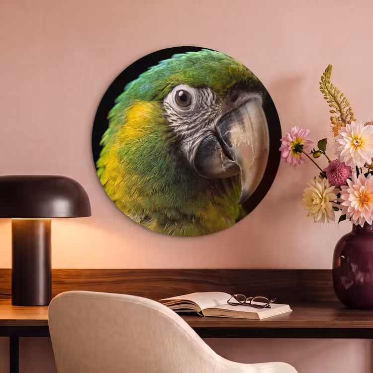 Akoestisch schilderij rond - Ara - Portret - Groen — 2
