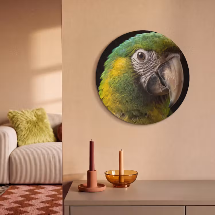 Akoestisch schilderij rond - Ara - Portret - Groen — 3