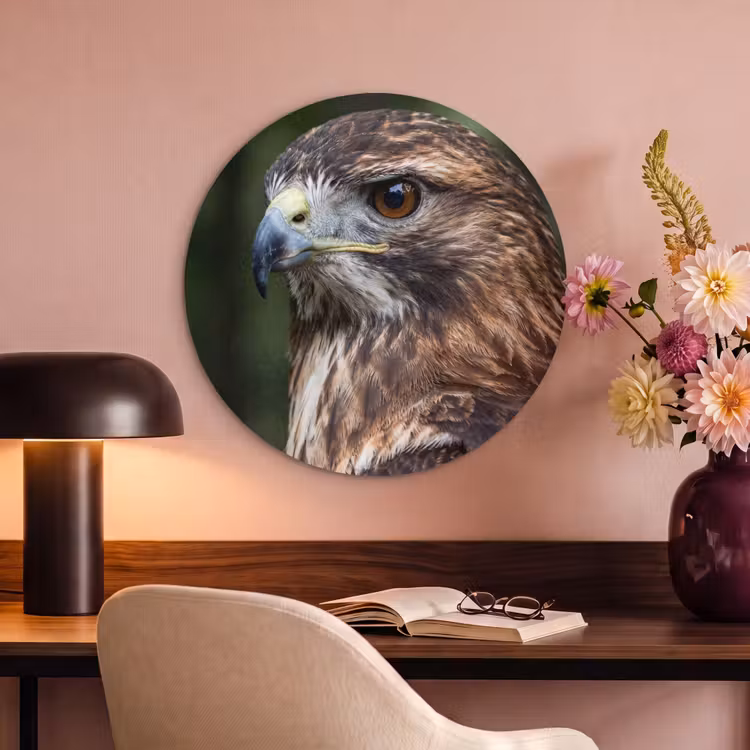 Akoestisch schilderij rond - Buizerd - Roofvogel - Natuur - Bruin — 2