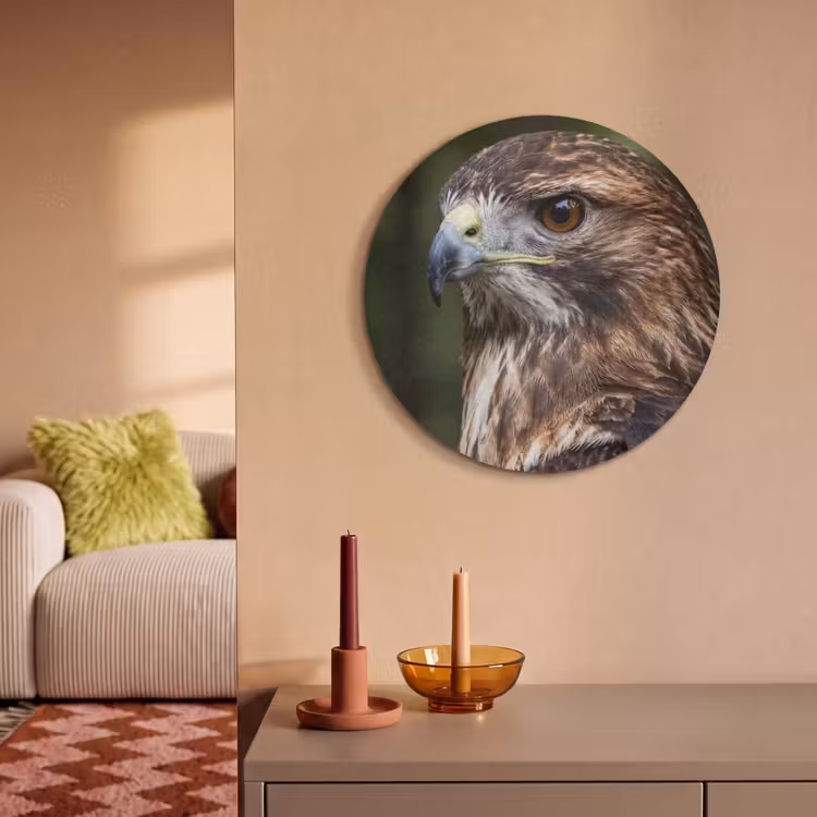 Akoestisch schilderij rond - Buizerd - Roofvogel - Natuur - Bruin — 3