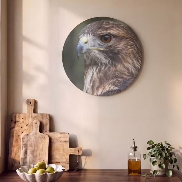 Akoestisch schilderij rond - Buizerd - Roofvogel - Natuur - Bruin — 4