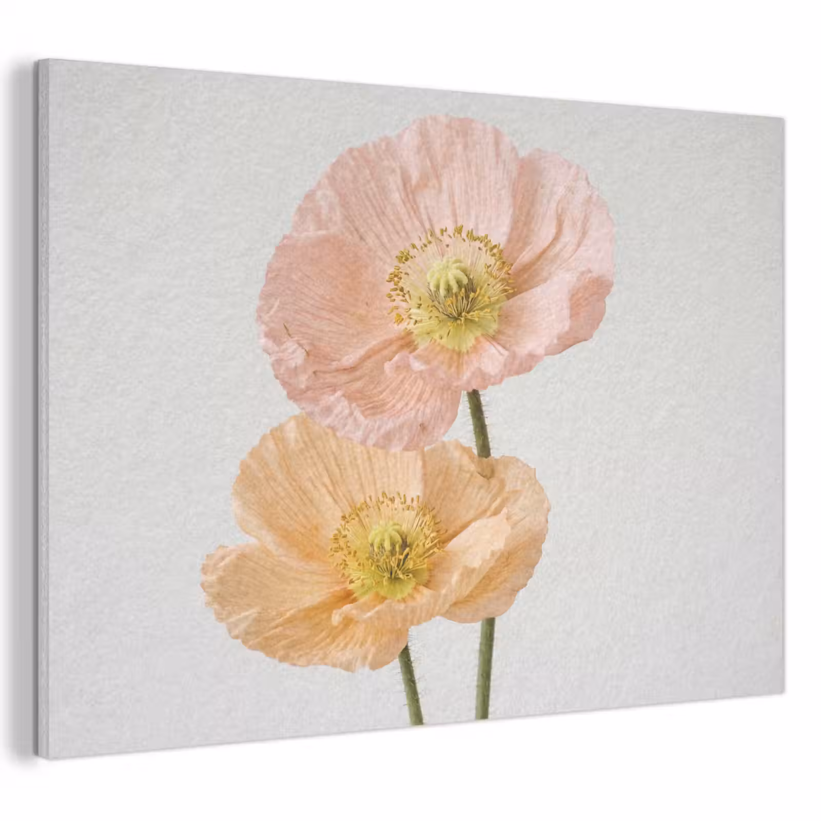 Akoestisch schilderij - Papavers - Botanisch - Roze — 1
