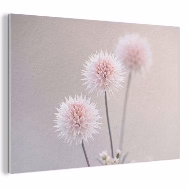 Akoestisch schilderij - Bloemen - Bollen - Roze — 1