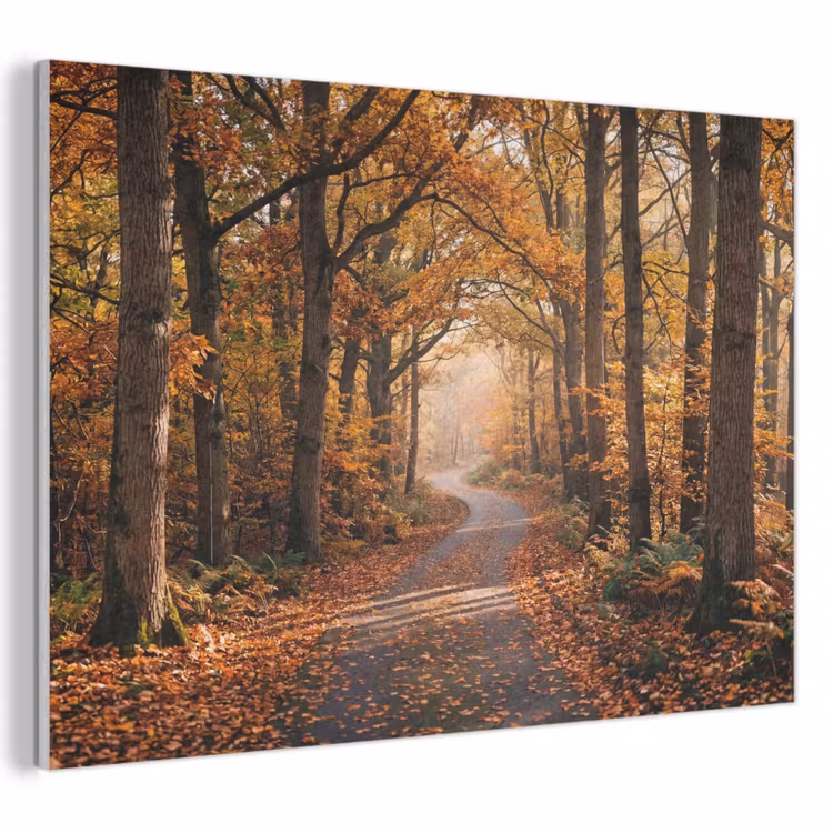 Akoestisch schilderij - Bospad - Herfstbos - Bladeren - Oranje - Nostalgisch — 1