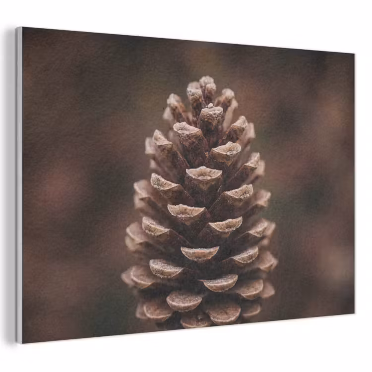 Akoestisch schilderij - Dennenappel - Bos - Herfst - Bruin - Sfeervol — 1
