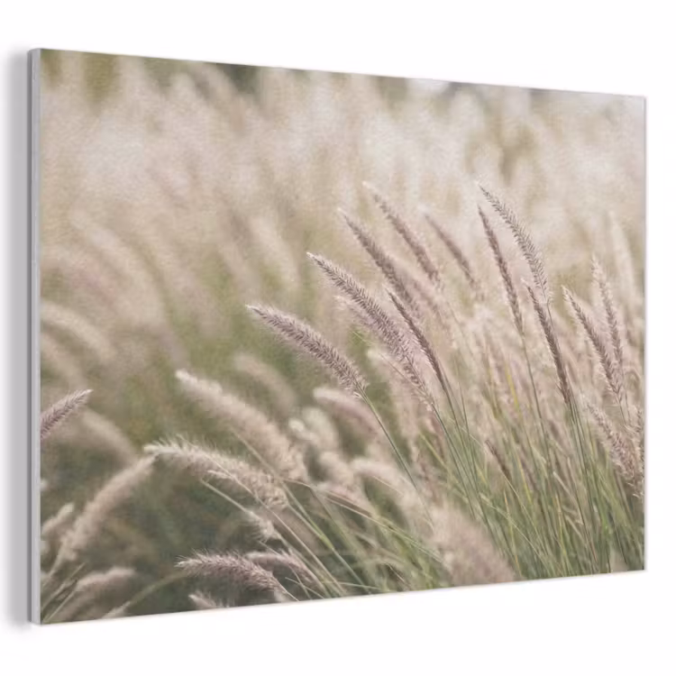 Akoestisch schilderij - Gras - Close up - Groen — 1