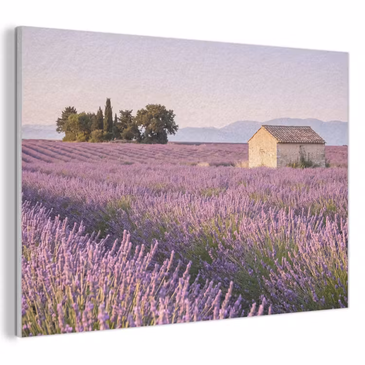 Akoestisch schilderij - Lavendel - Landschap - Sereen - Paars — 1