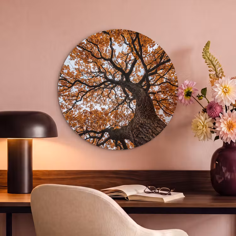 Akoestisch schilderij rond - Boom - Bladerdak - Herfst - Oranje - Sfeervol — 2