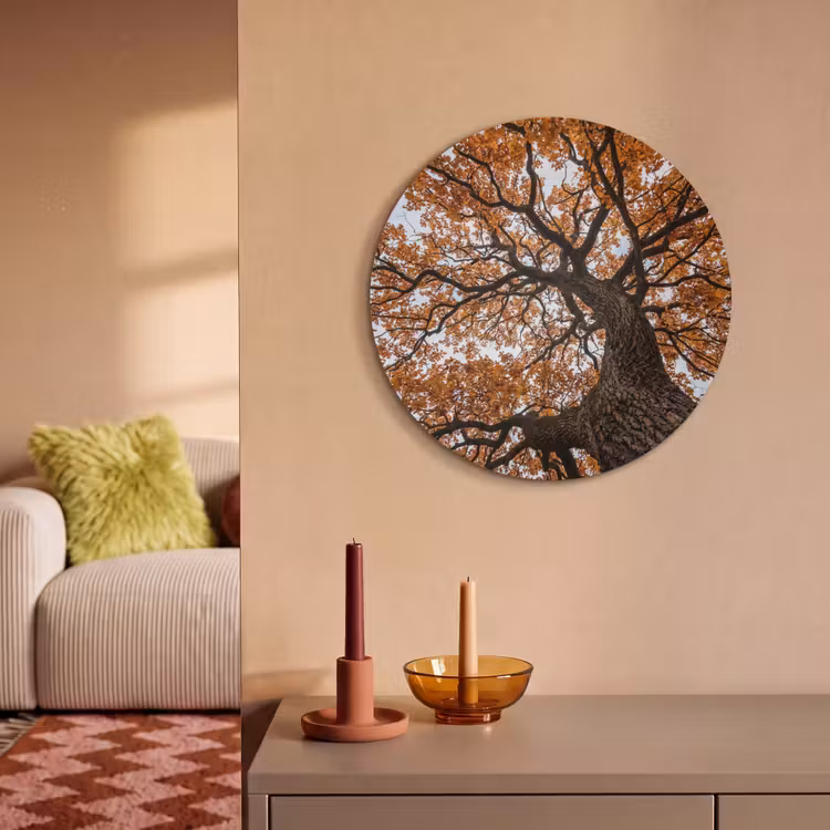 Akoestisch schilderij rond - Boom - Bladerdak - Herfst - Oranje - Sfeervol — 3