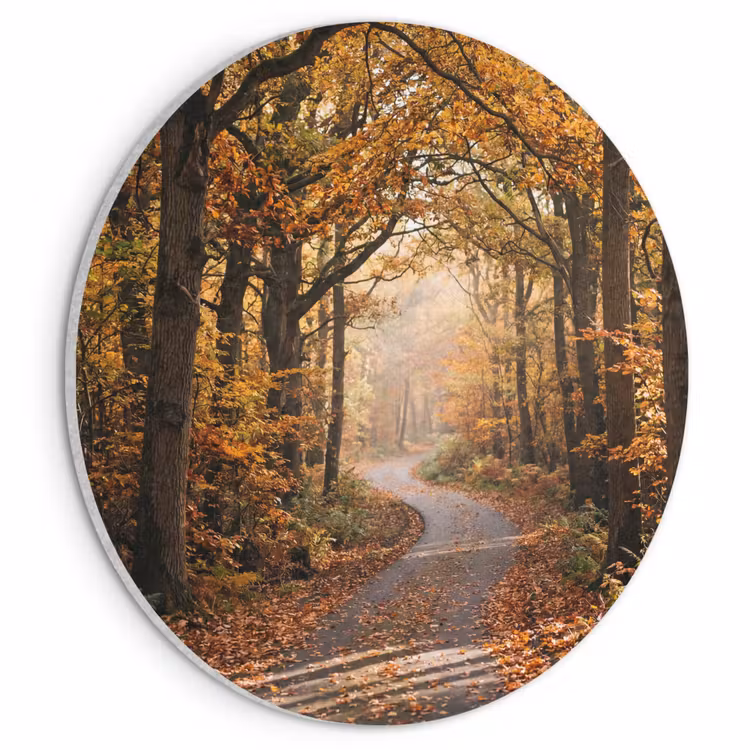 Akoestisch schilderij rond - Bospad - Herfstbos - Bladeren - Oranje - Nostalgisch — 1