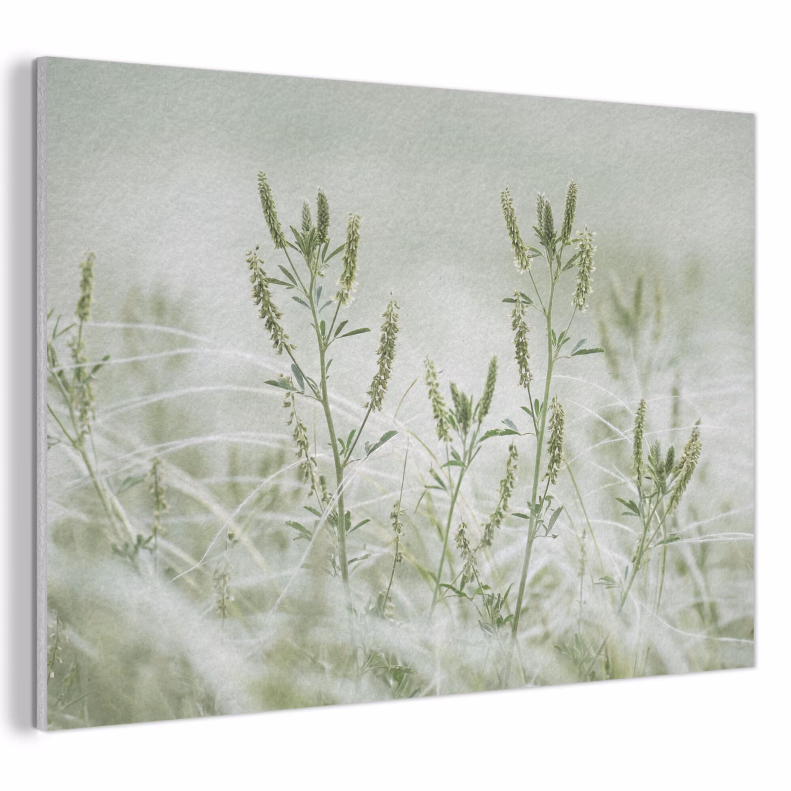 Akoestisch schilderij - Grassen - Minimalistisch - Groen — 1