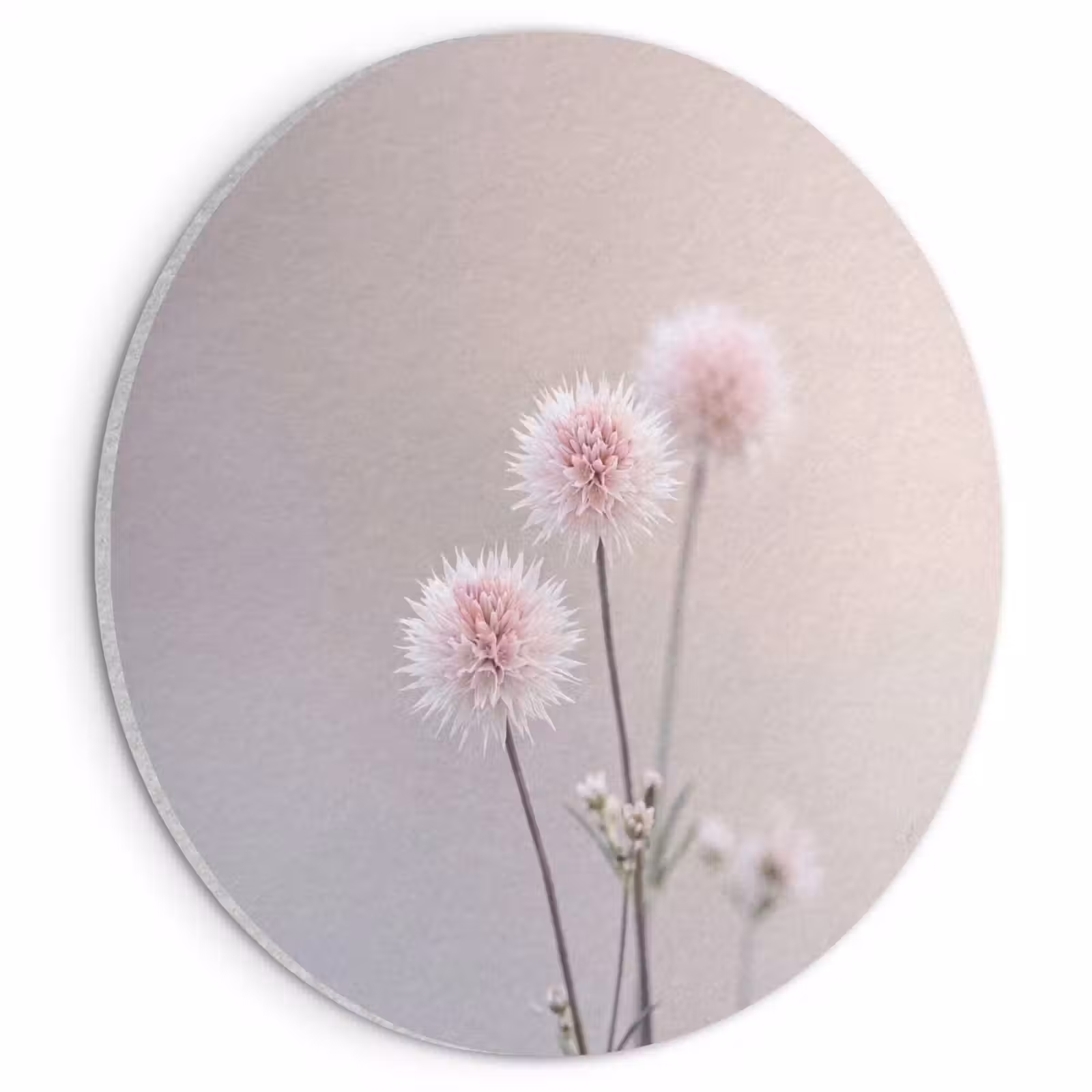 Akoestisch schilderij rond - Bloemen - Bollen - Roze — 1