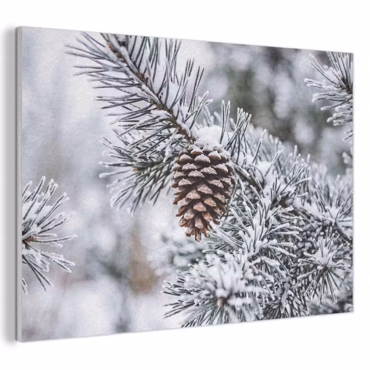 Akoestisch schilderij - Dennenappel - Tak - Sneeuw - Winter - Sfeervol — 1