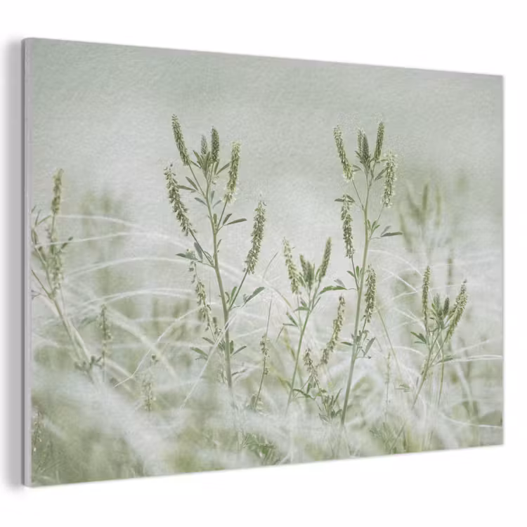 Akoestisch schilderij - Grassen - Minimalistisch - Groen — 1