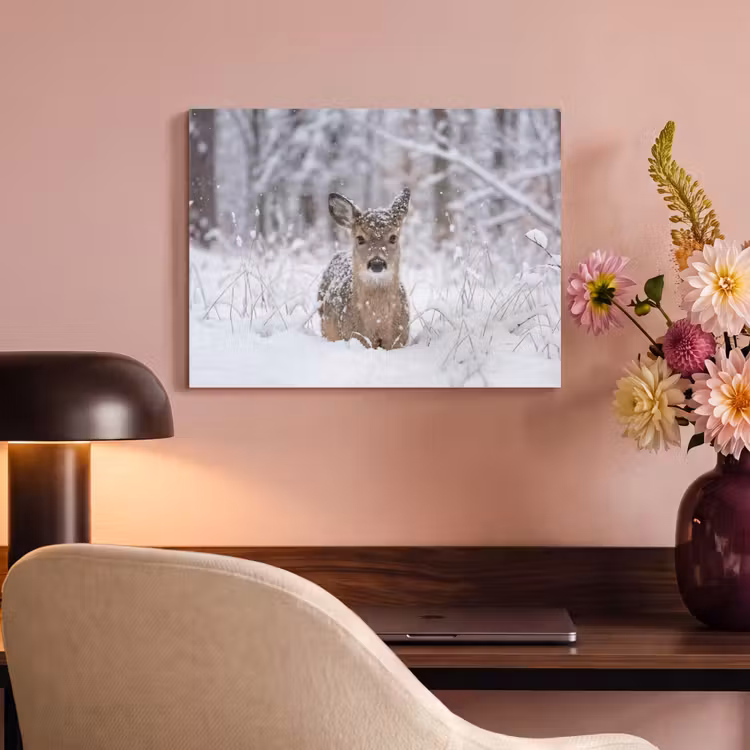 Akoestisch schilderij - Hert - Sneeuw - Bos - Dieren - Vertederend — 4