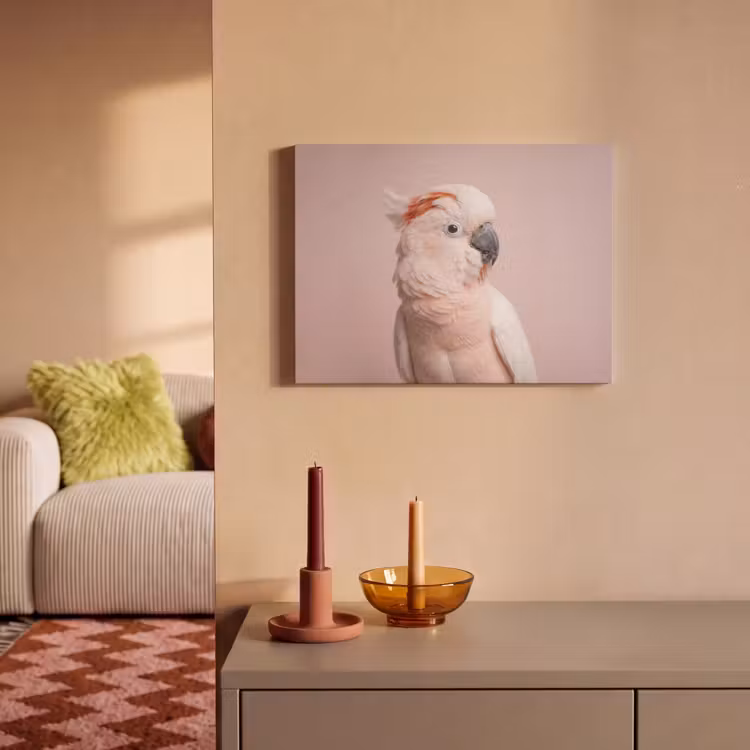 Akoestisch schilderij - Kaketoe - Portret - Roze — 2