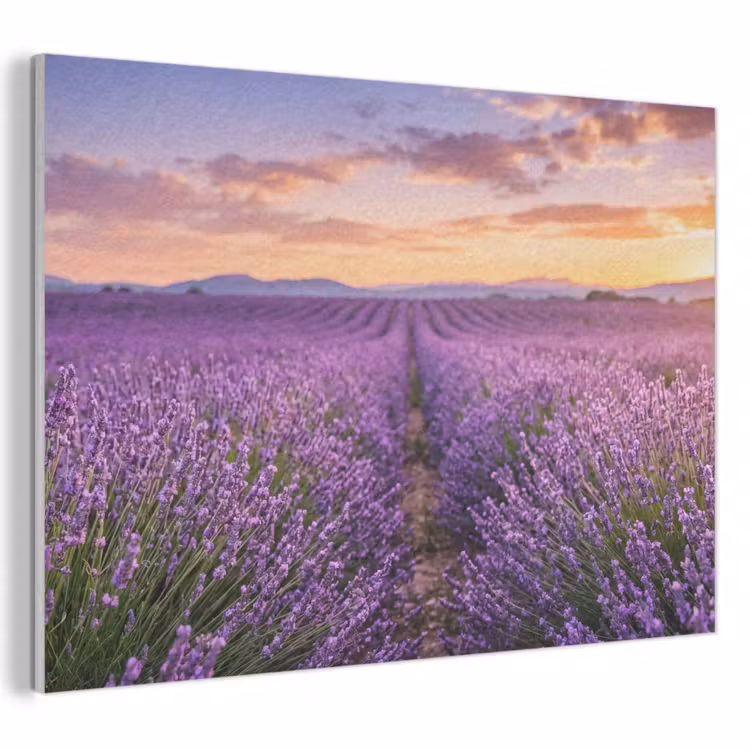 Akoestisch schilderij - Lavendel - Veld - Natuur - Paars — 1