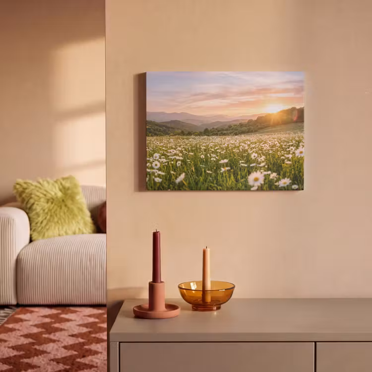Akoestisch schilderij - Madelief - Veld - Heuvels - Groen — 2