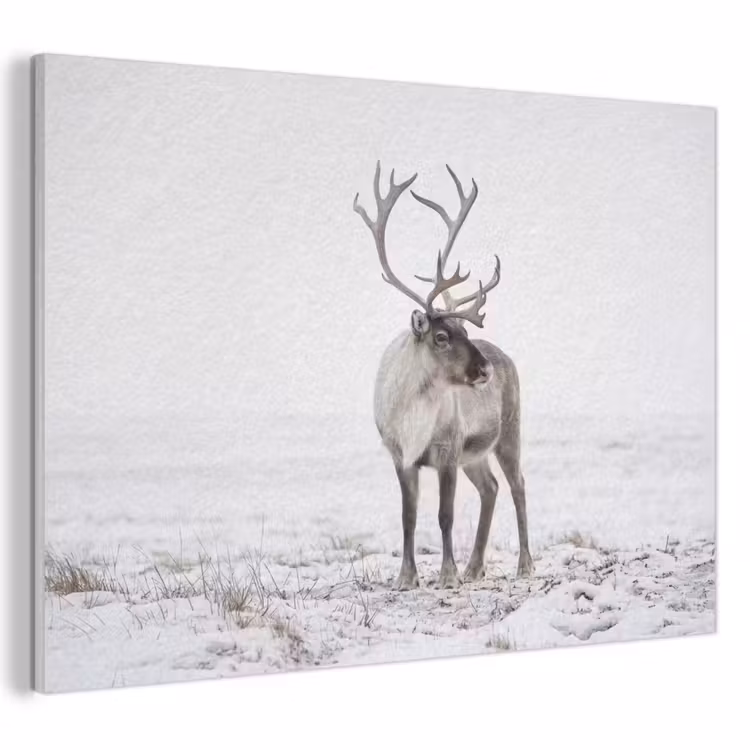 Akoestisch schilderij - Rendier - Gewei - Sneeuw - Winter — 1