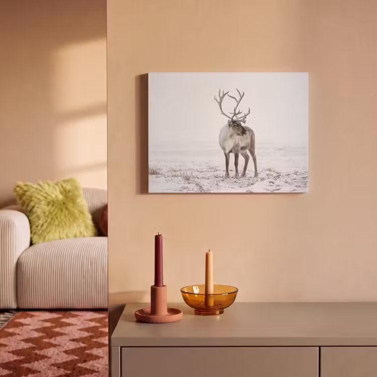 Akoestisch schilderij - Rendier - Gewei - Sneeuw - Winter — 2