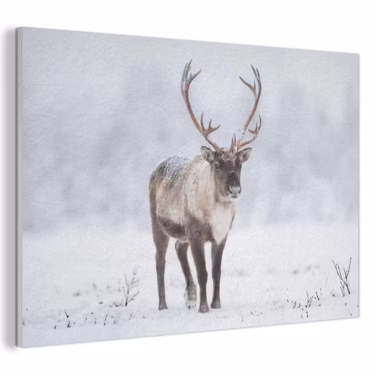 Akoestisch schilderij - Rendier - Gewei - Toendra - Sneeuw - Wild — 1