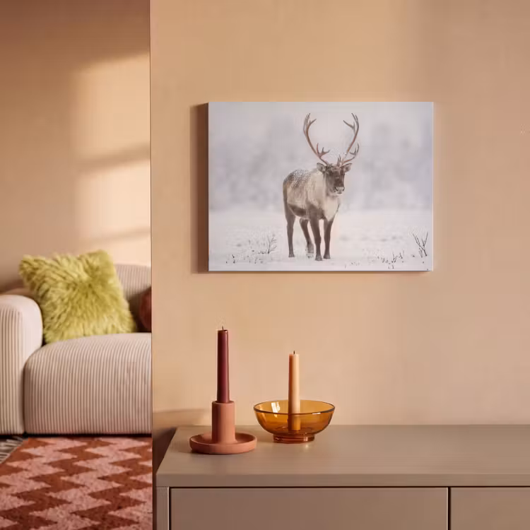 Akoestisch schilderij - Rendier - Gewei - Toendra - Sneeuw - Wild — 2