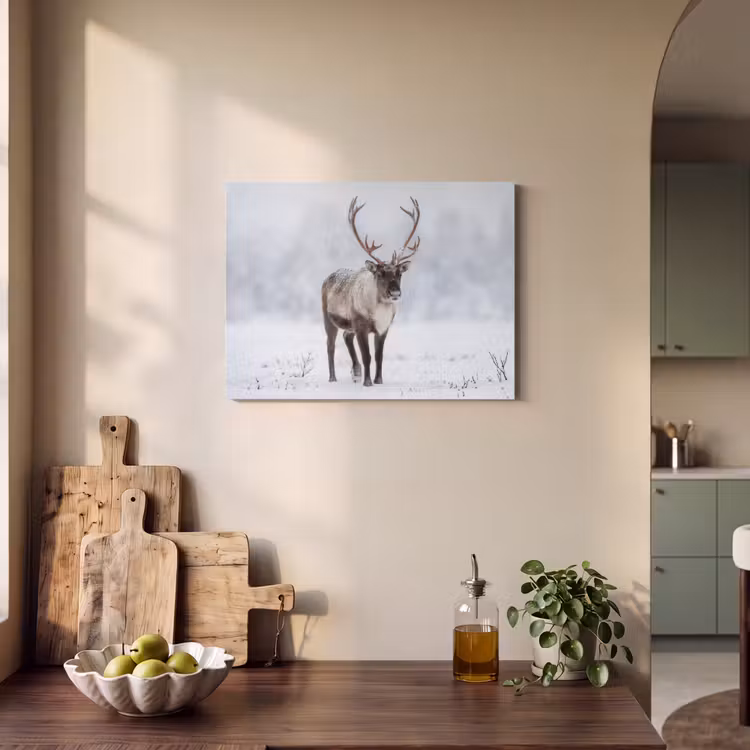Akoestisch schilderij - Rendier - Gewei - Toendra - Sneeuw - Wild — 3
