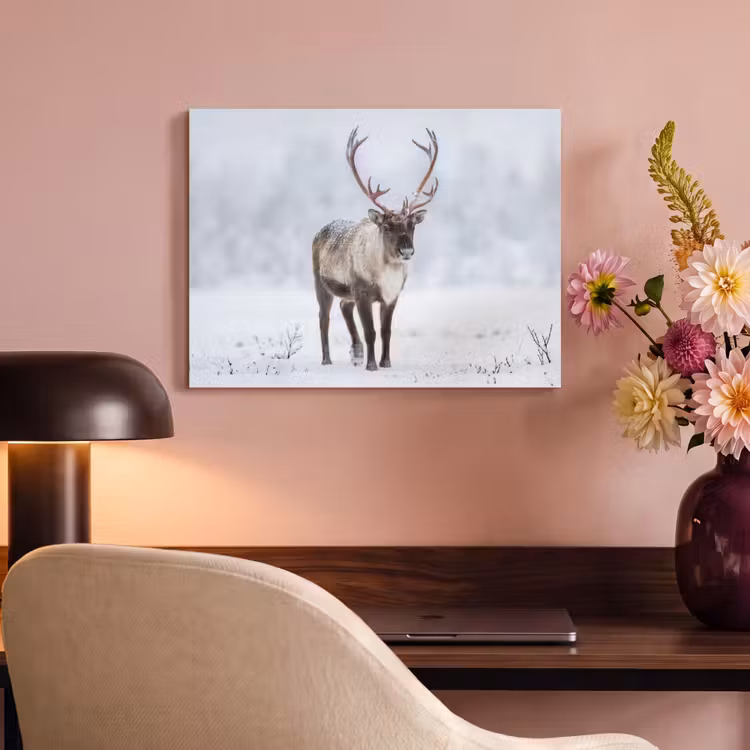 Akoestisch schilderij - Rendier - Gewei - Toendra - Sneeuw - Wild — 4