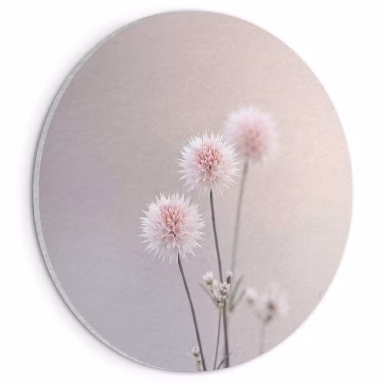 Akoestisch schilderij rond - Bloemen - Bollen - Roze — 1