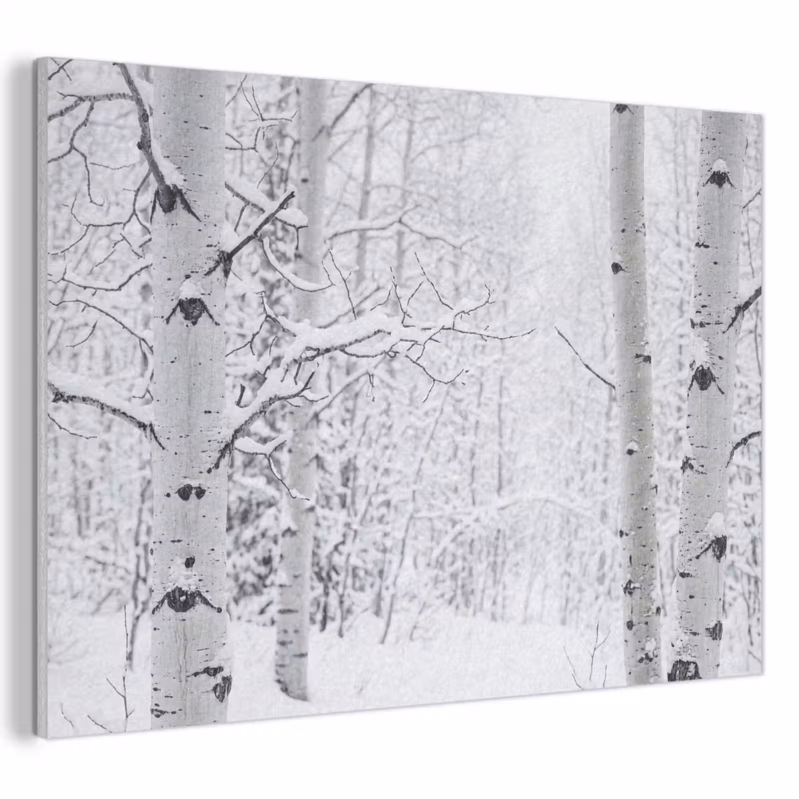 Akoestisch schilderij - Berkenbomen - Sneeuw - Winter - Bos - Wit — 1