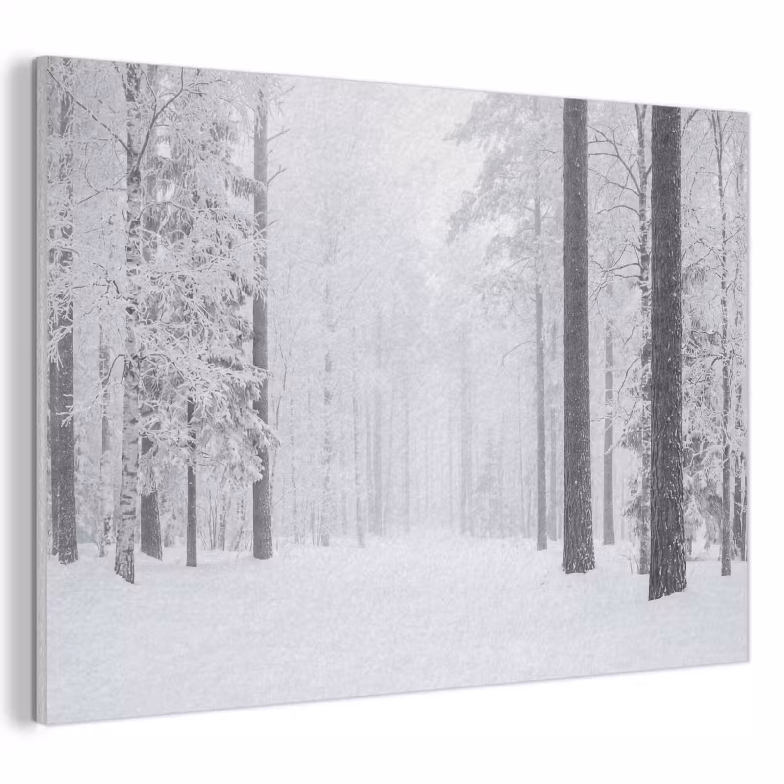 Akoestisch schilderij - Bos - Sneeuw - Pad - Winter - Stilte — 1