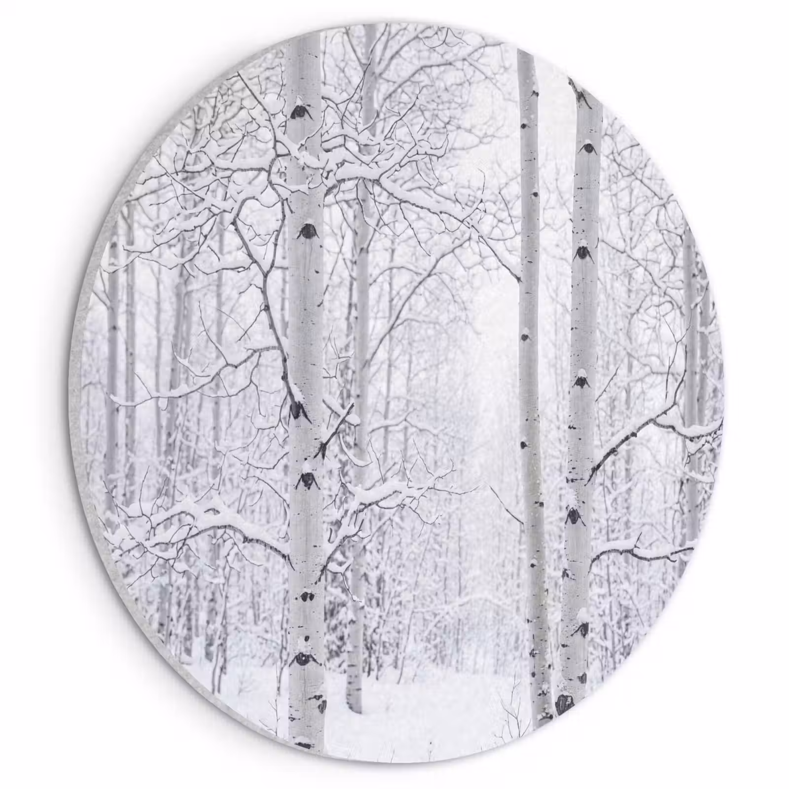 Akoestisch schilderij rond - Berkenbomen - Sneeuw - Winter - Bos - Wit — 1